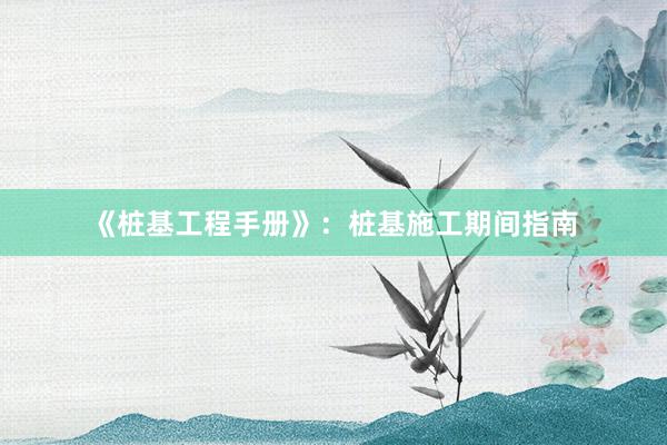 《桩基工程手册》：桩基施工期间指南